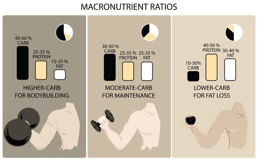 macronutrient graphic