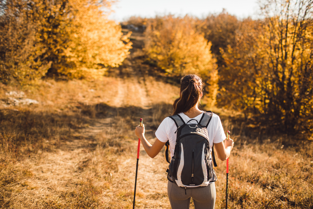 What Is Nordic Walking?