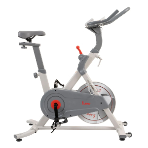 Sunny Pro Lite Indoor Cycling Bike