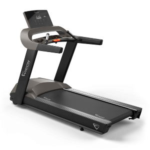 Vision Fitness T600