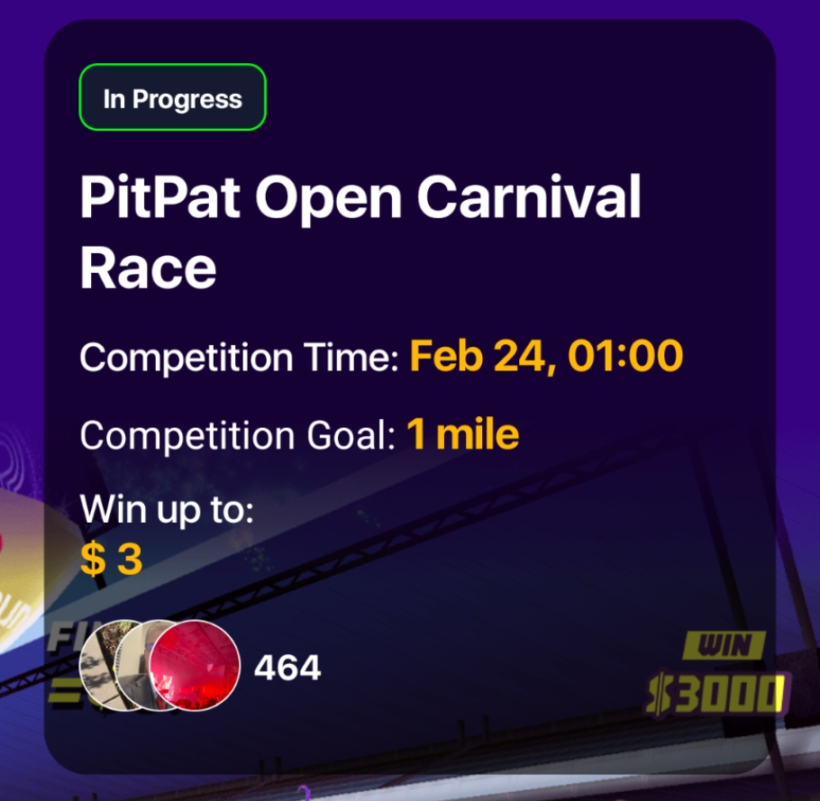 PitPat Event